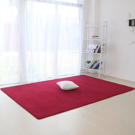 Thickened coral velvet plain carpet non-slip rug living room pad coffee table blanket bedroom cushion bedside yoga mat