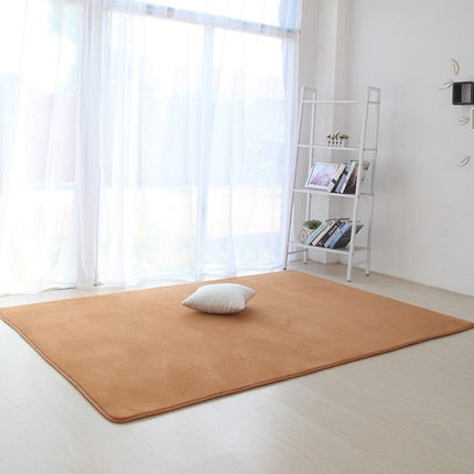 Thickened coral velvet plain carpet non-slip rug living room pad coffee table blanket bedroom cushion bedside yoga mat