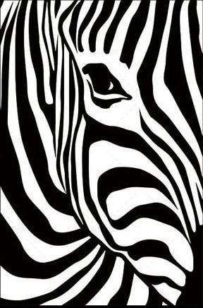 Nordic Canvas Art Painting Black White Giraffe Elephant Zebra Lion Print Animal Wall Art Poster Living Room Home Decor Painting