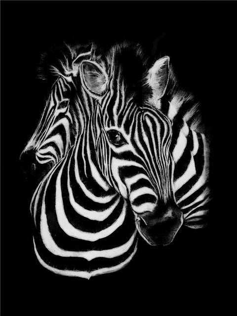 Nordic Canvas Art Painting Black White Giraffe Elephant Zebra Lion Print Animal Wall Art Poster Living Room Home Decor Painting