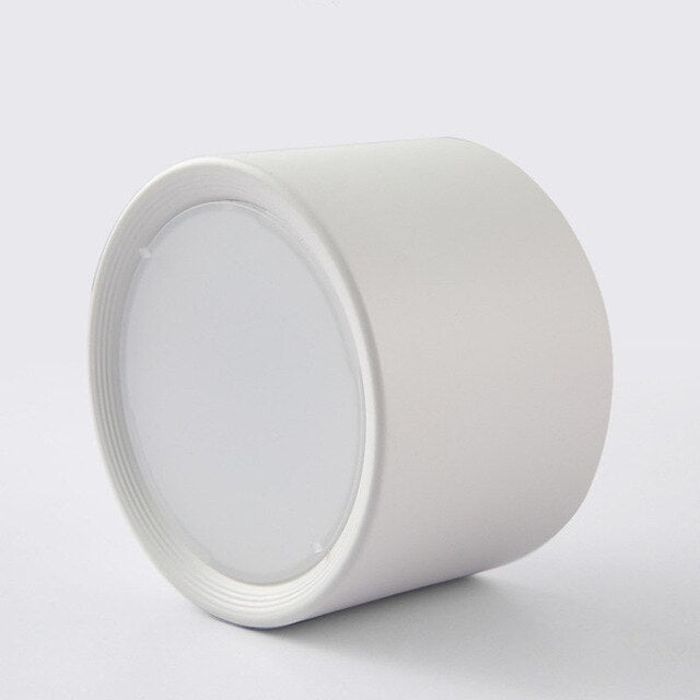 DBF 5W/12W LED Surface Mounted Ceiling Lamp 85-265V Ceilings Light for Living Room Bedroom Home Decoration Indoor Spot Lighting